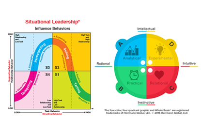 Situational Leadership and Whole Brain Thinking