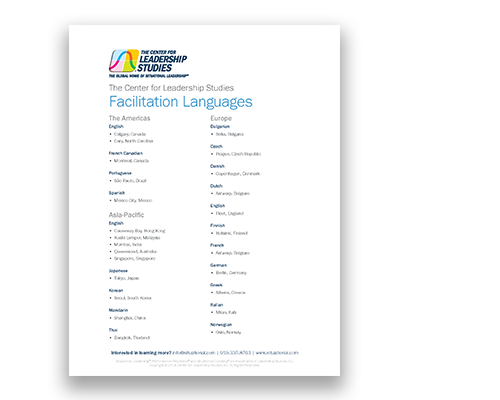 Facilitation languages flyer cover