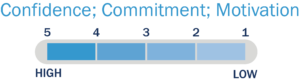 Confidence and commitment scale