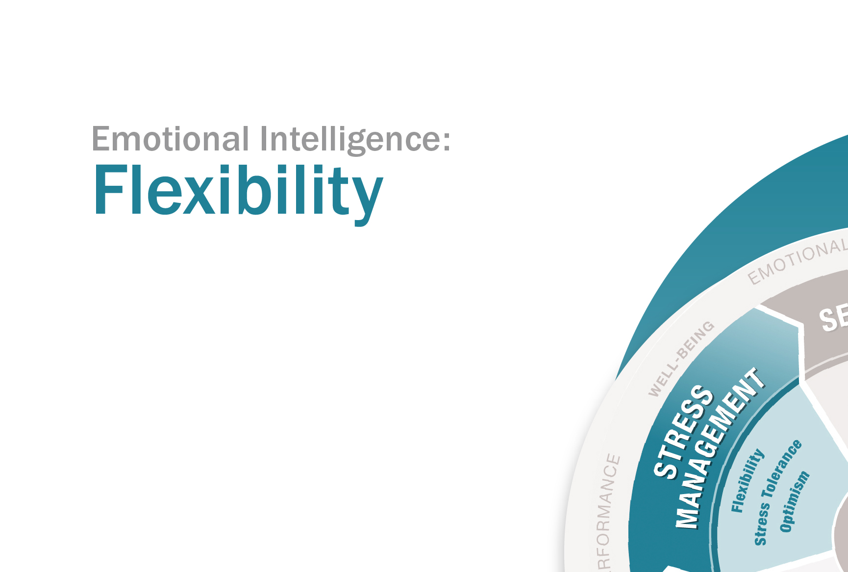 LEI__Flexibility-830x560-1