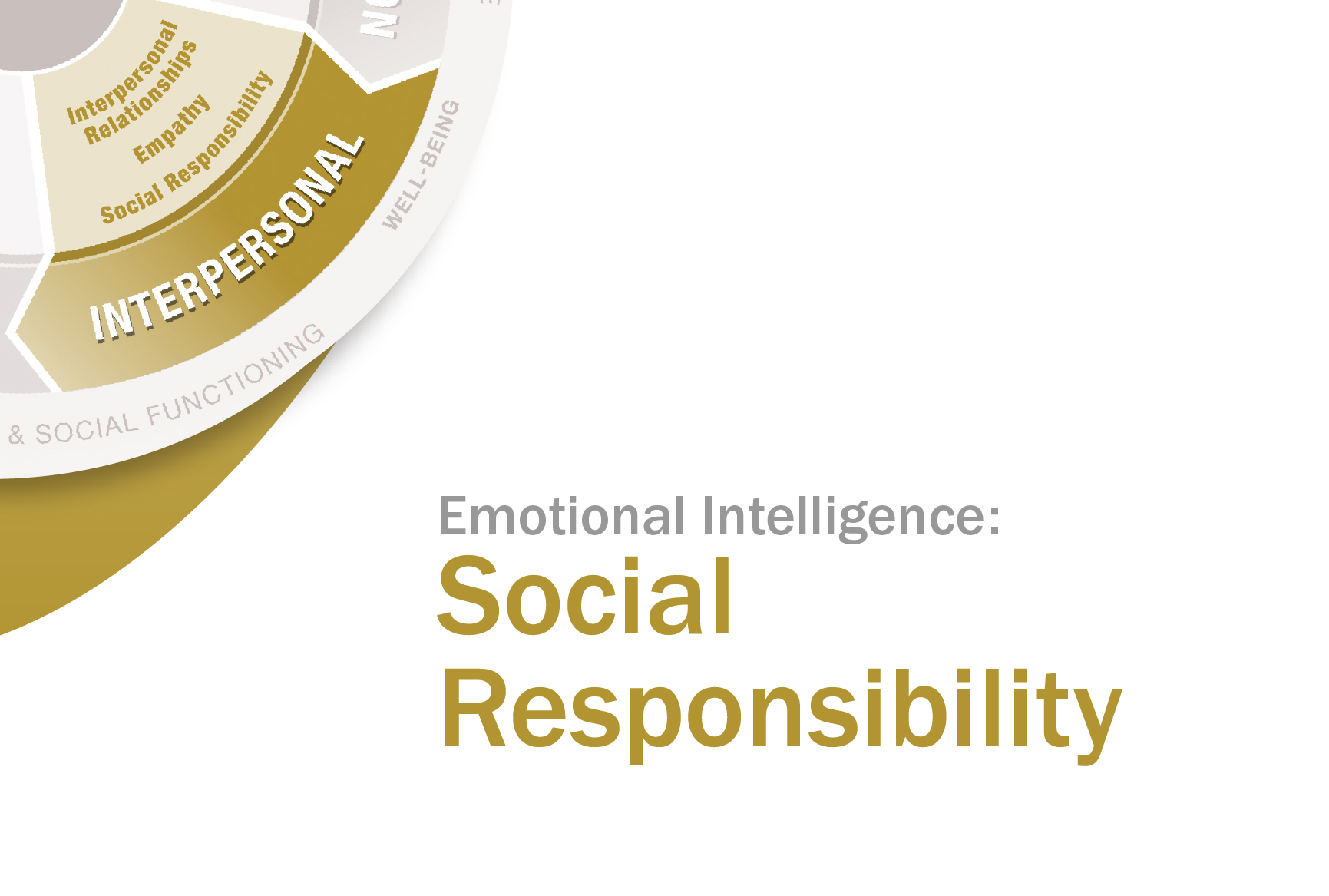 LEI__Social-Responsibility-830x560-1